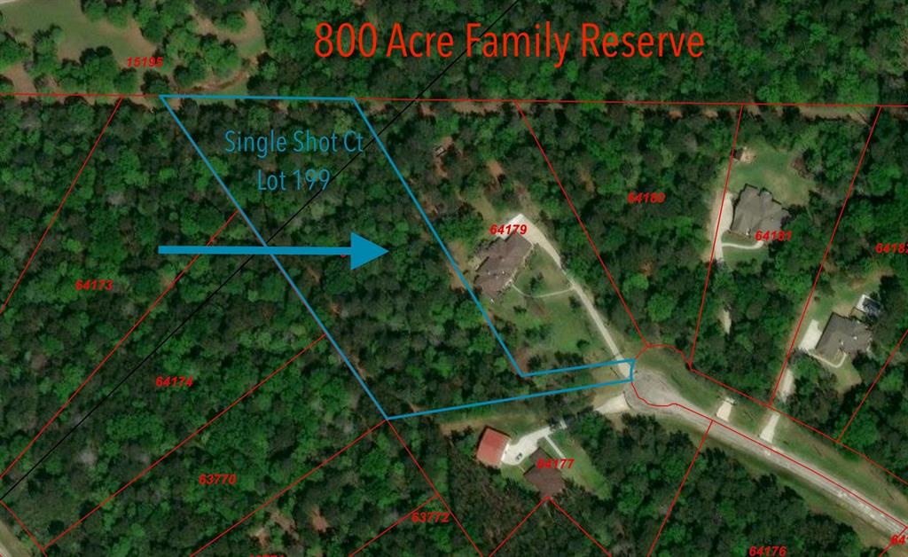 Single Shot Court, Huntsville, Texas image 1