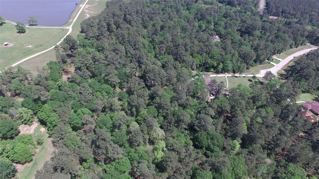 Single Shot Court, Huntsville, Texas image 5