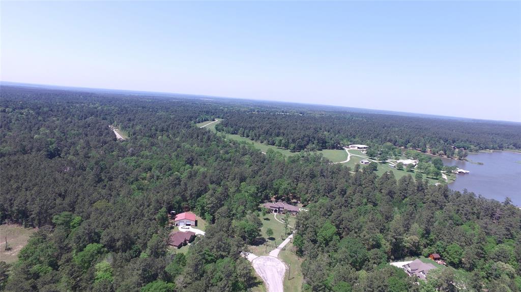 Single Shot Court, Huntsville, Texas image 9