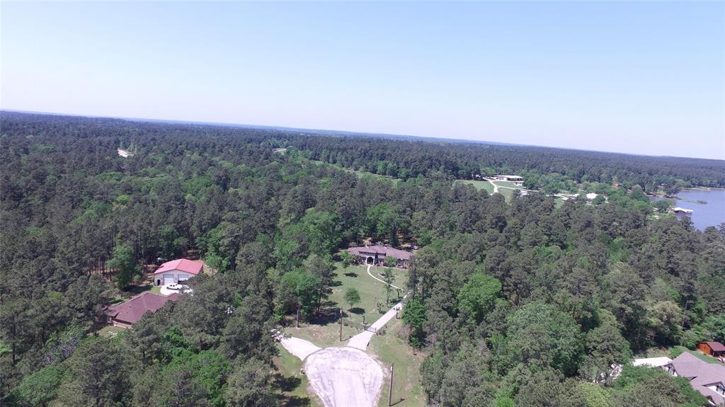 Single Shot Court, Huntsville, Texas image 8