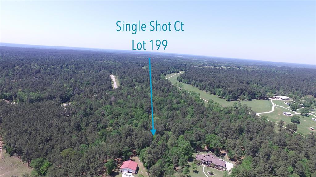 Single Shot Court, Huntsville, Texas image 2