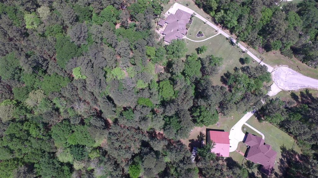 Single Shot Court, Huntsville, Texas image 3