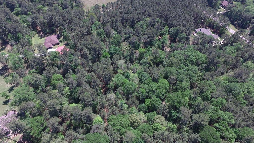 Single Shot Court, Huntsville, Texas image 6
