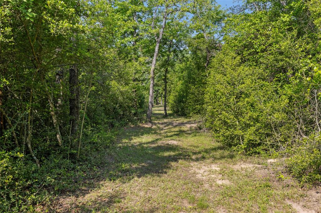 3911 County Road 235, Oakwood, Texas image 23