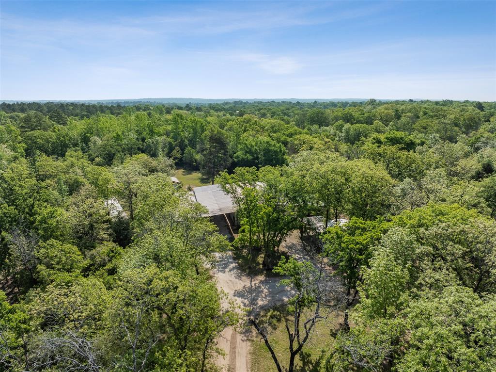 3911 County Road 235, Oakwood, Texas image 35