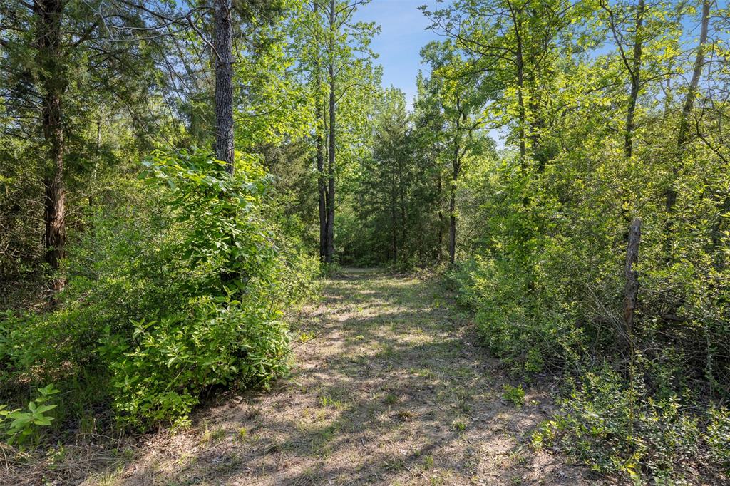 3911 County Road 235, Oakwood, Texas image 19