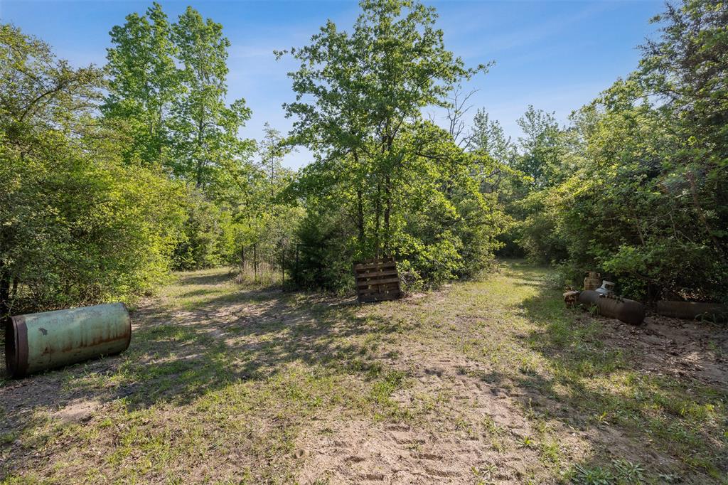 3911 County Road 235, Oakwood, Texas image 22