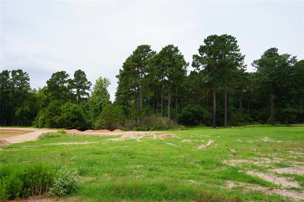 4845 Long Shadows Road, Navasota, Texas image 19