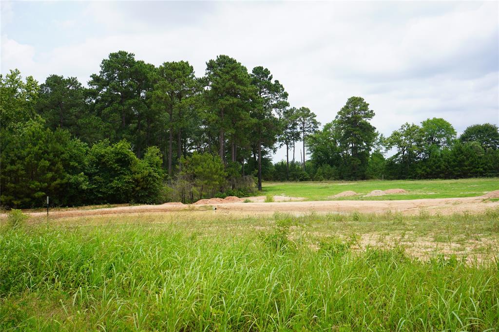4845 Long Shadows Road, Navasota, Texas image 2