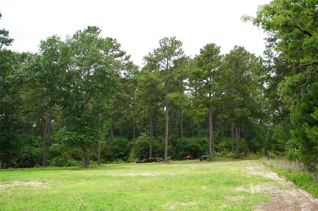 4845 Long Shadows Road, Navasota, Texas image 12