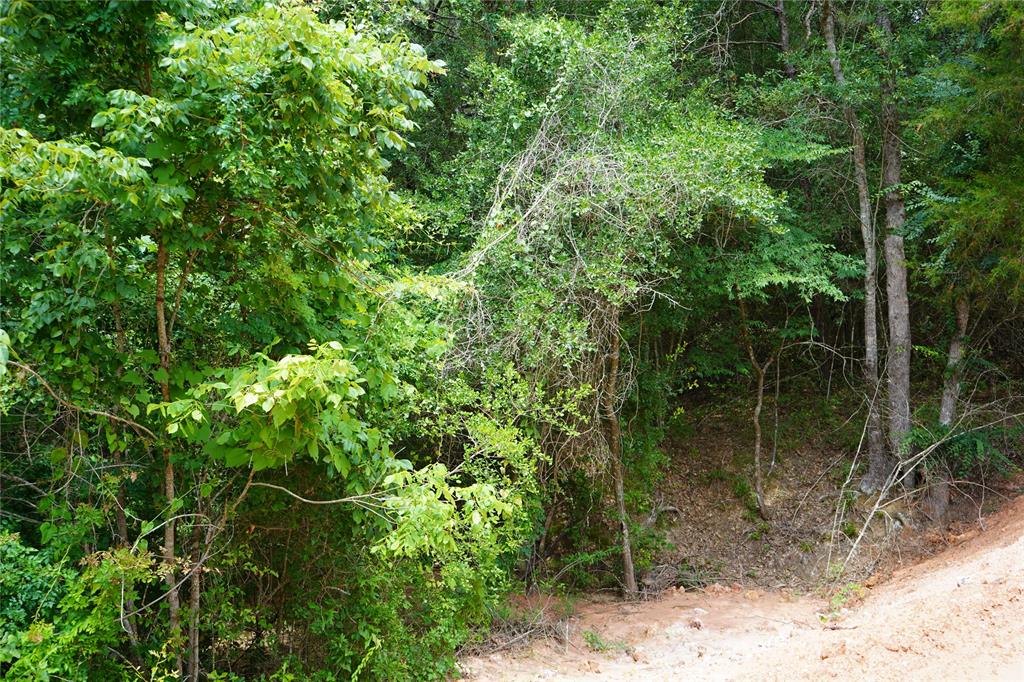 4845 Long Shadows Road, Navasota, Texas image 15