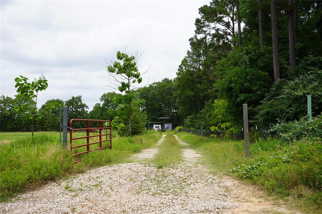 4845 Long Shadows Road, Navasota, Texas image 25