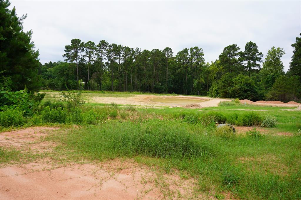 4845 Long Shadows Road, Navasota, Texas image 22