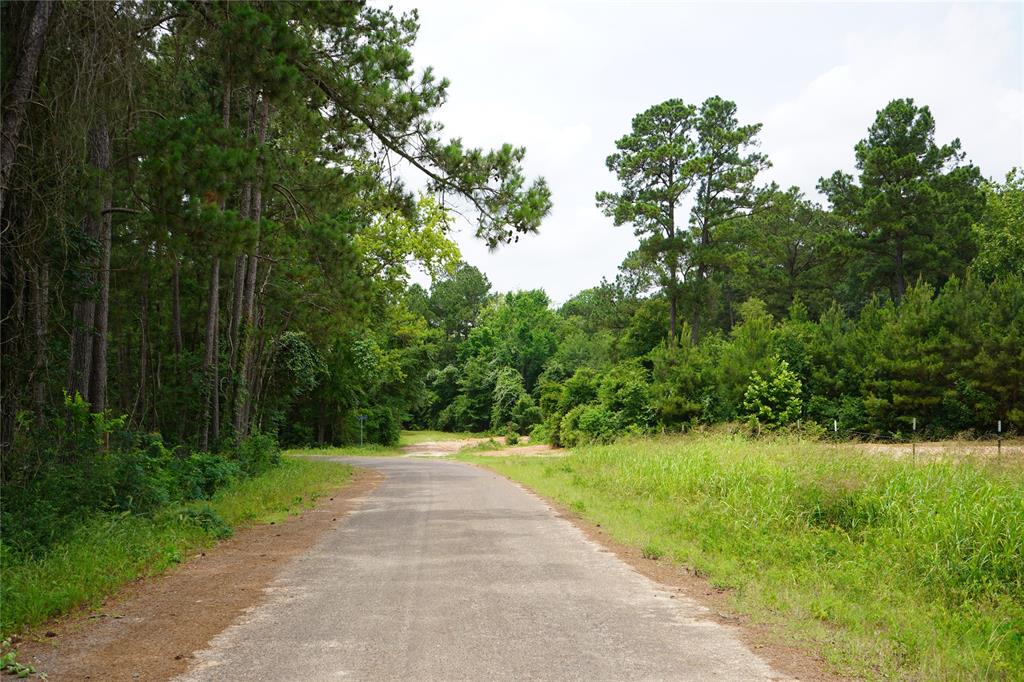 4845 Long Shadows Road, Navasota, Texas image 3