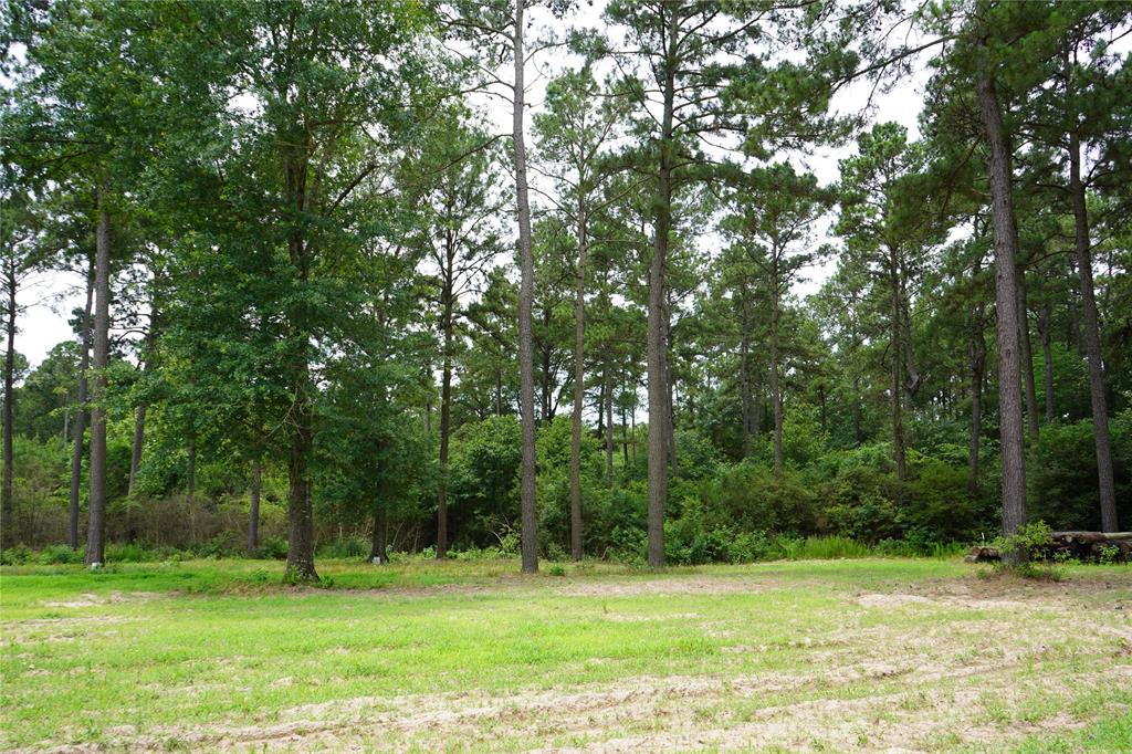 4845 Long Shadows Road, Navasota, Texas image 9