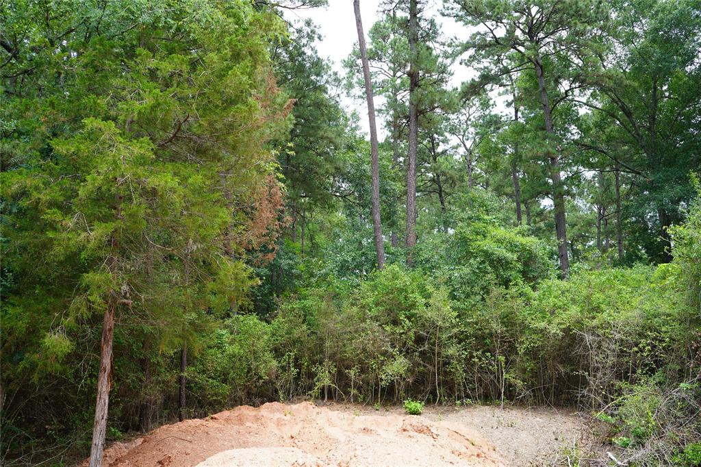 4845 Long Shadows Road, Navasota, Texas image 14