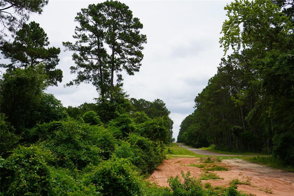 4845 Long Shadows Road, Navasota, Texas image 13