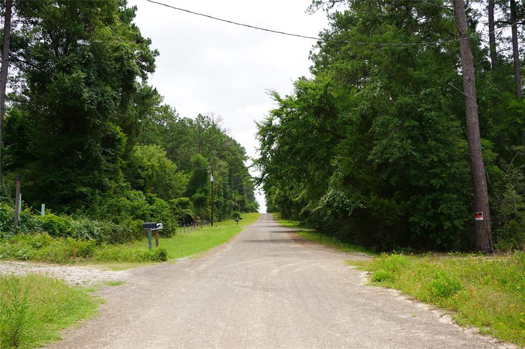 4845 Long Shadows Road, Navasota, Texas image 4