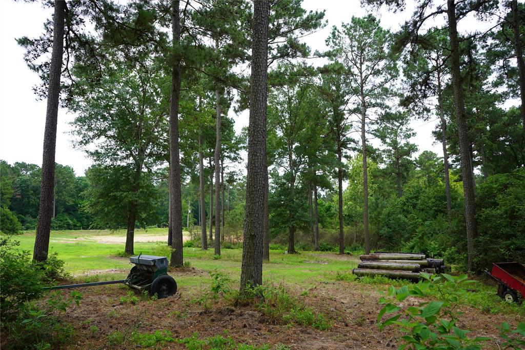 4845 Long Shadows Road, Navasota, Texas image 7
