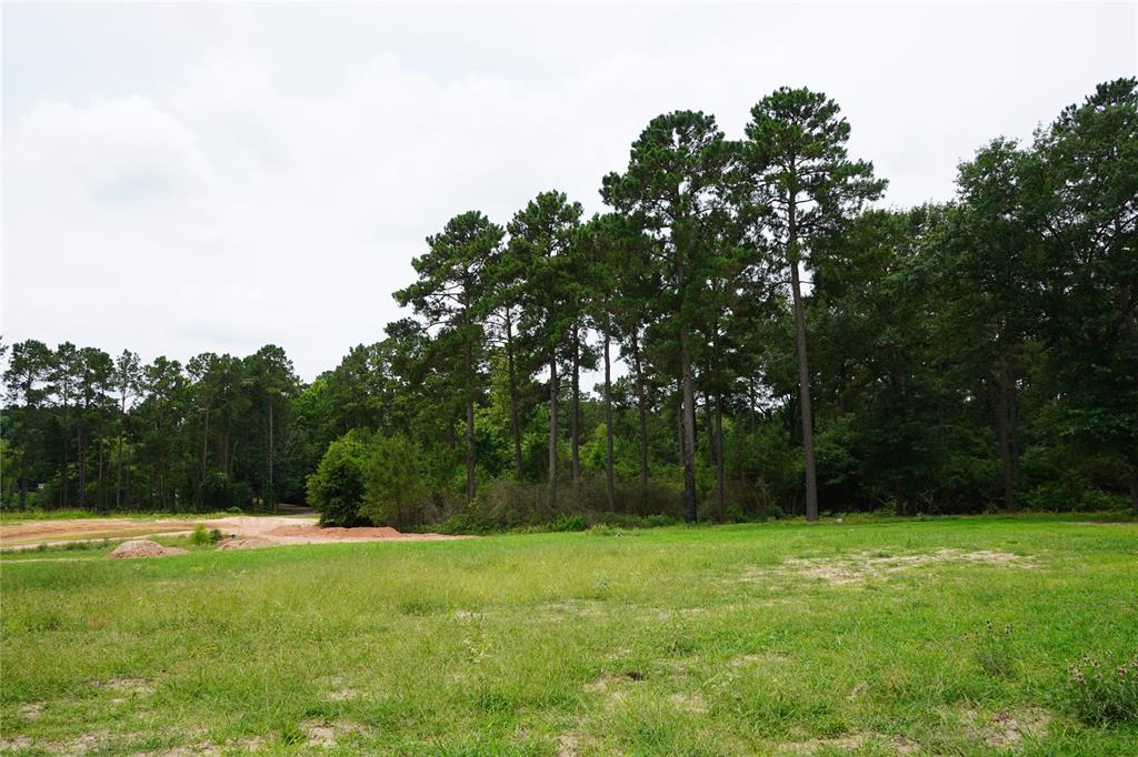 4845 Long Shadows Road, Navasota, Texas image 10