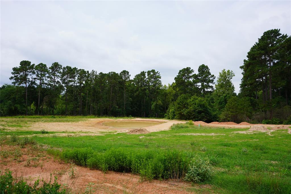 4845 Long Shadows Road, Navasota, Texas image 20