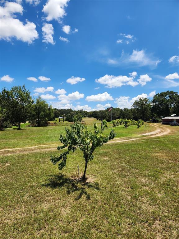 2869 Rockin C S Ranch Road, Caldwell, Texas image 30