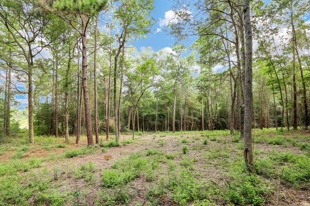 125 Pyrite Court, Huntsville, Texas image 7
