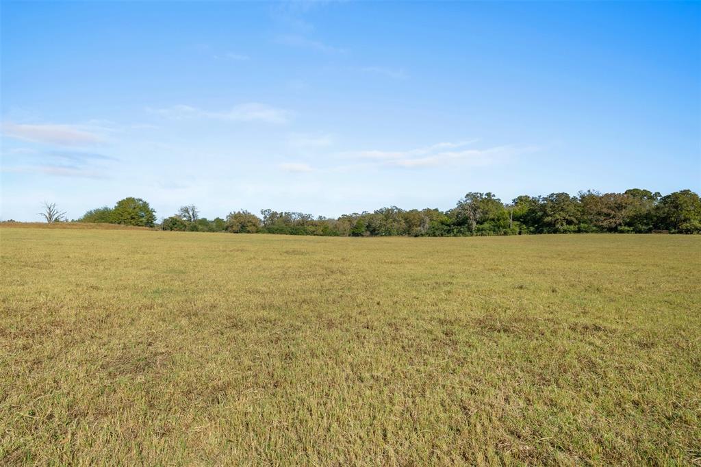 5.5 AC Farm To Market 1940, Franklin, Texas image 4