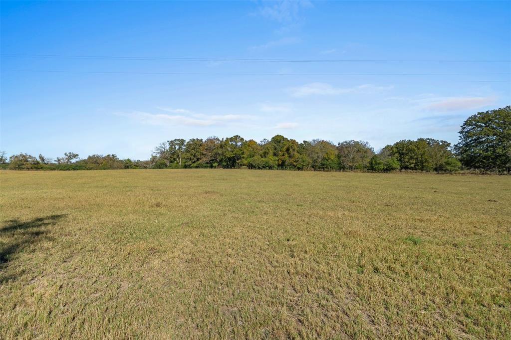 5.5 AC Farm To Market 1940, Franklin, Texas image 6