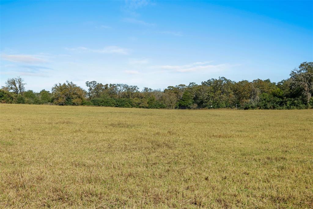 5.5 AC Farm To Market 1940, Franklin, Texas image 5