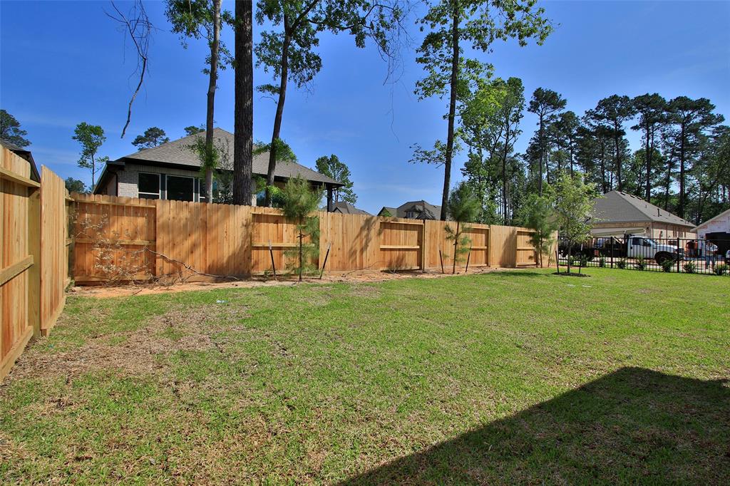 202 Brecon Buff Drive, Willis, Texas image 33