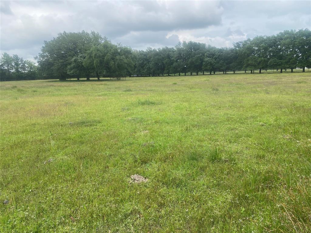 Peters Road, Crosby, Texas image 5