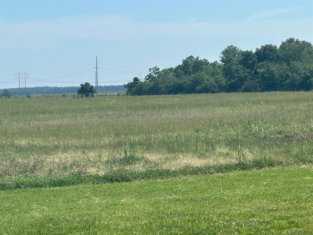 Smart Dairy Lane, Beaumont, Texas image 3