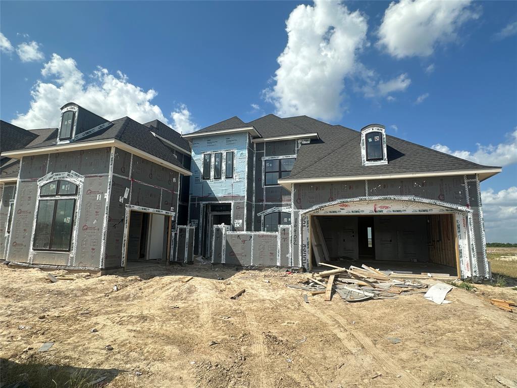 19902 Cary Magnolia