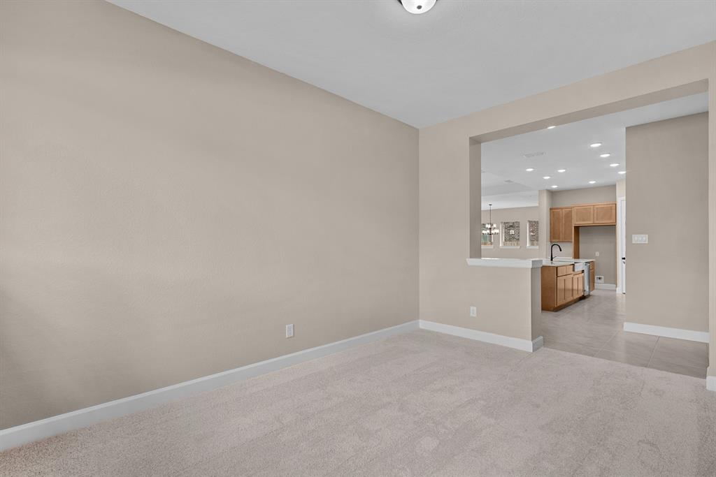 17303 July Moon Lane, Conroe, Texas image 21