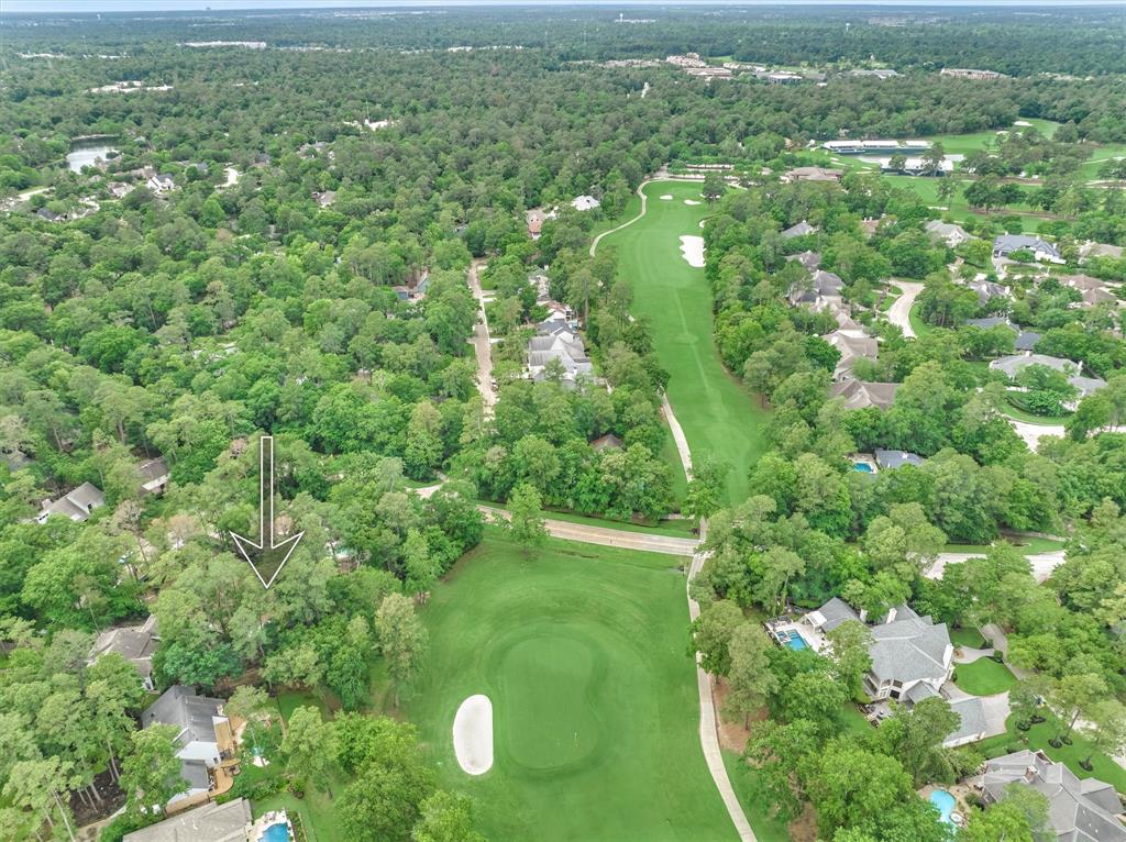 5 Coralvine Court, The Woodlands, Texas image 4