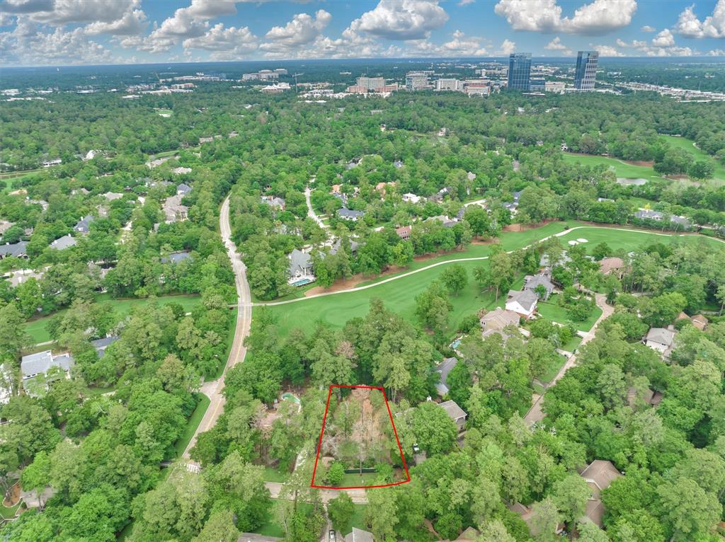 5 Coralvine Court, The Woodlands, Texas image 1