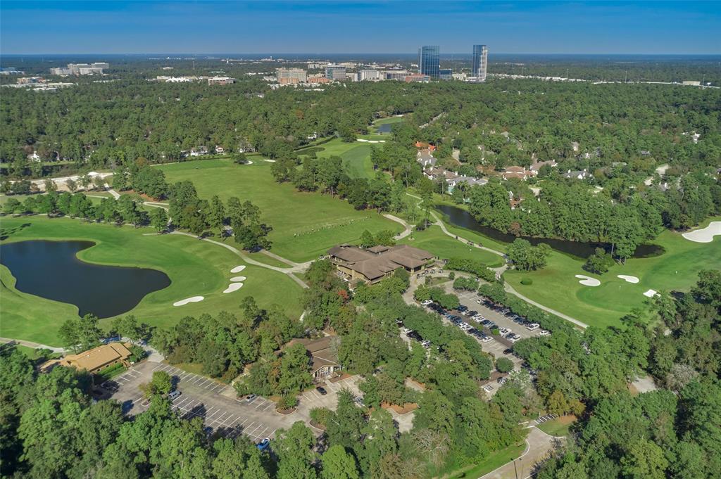 5 Coralvine Court, The Woodlands, Texas image 7