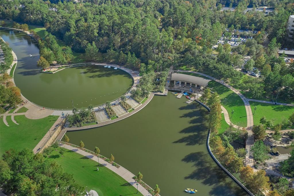 5 Coralvine Court, The Woodlands, Texas image 8