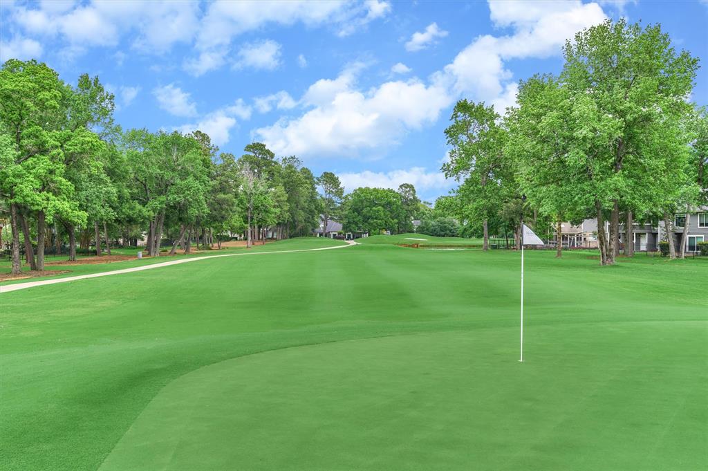 5 Coralvine Court, The Woodlands, Texas image 2