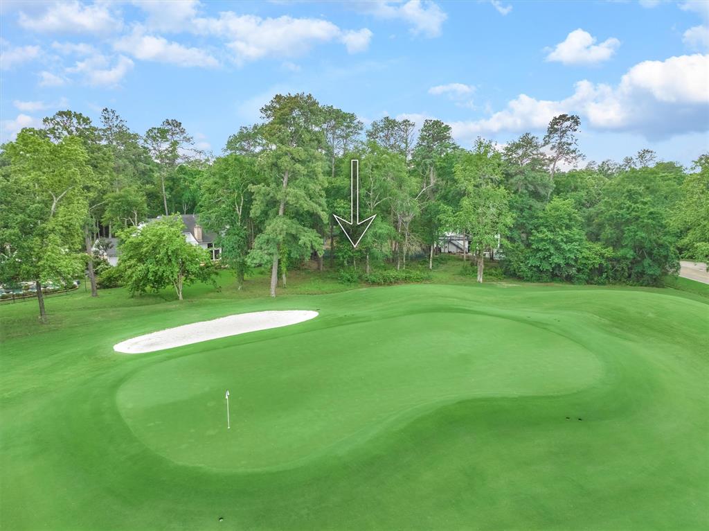 5 Coralvine Court, The Woodlands, Texas image 5