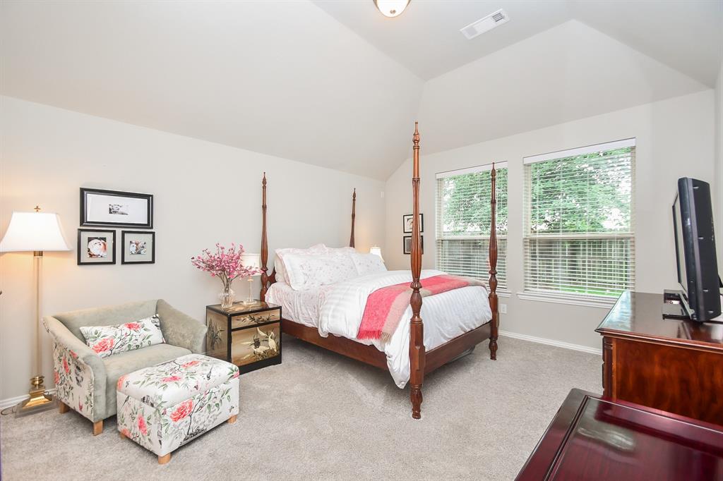 21311 Cold Rain Drive, Richmond, Texas image 17