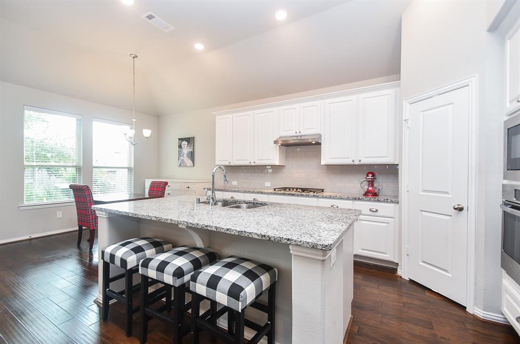 21311 Cold Rain Drive, Richmond, Texas image 16