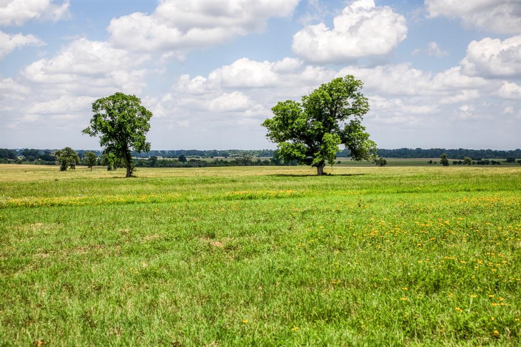 0000 Flat Prairie Road, Washington, Texas image 21