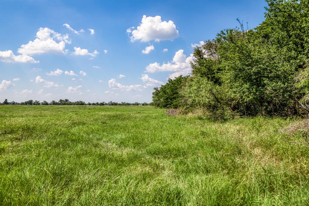 0000 Flat Prairie Road, Washington, Texas image 6