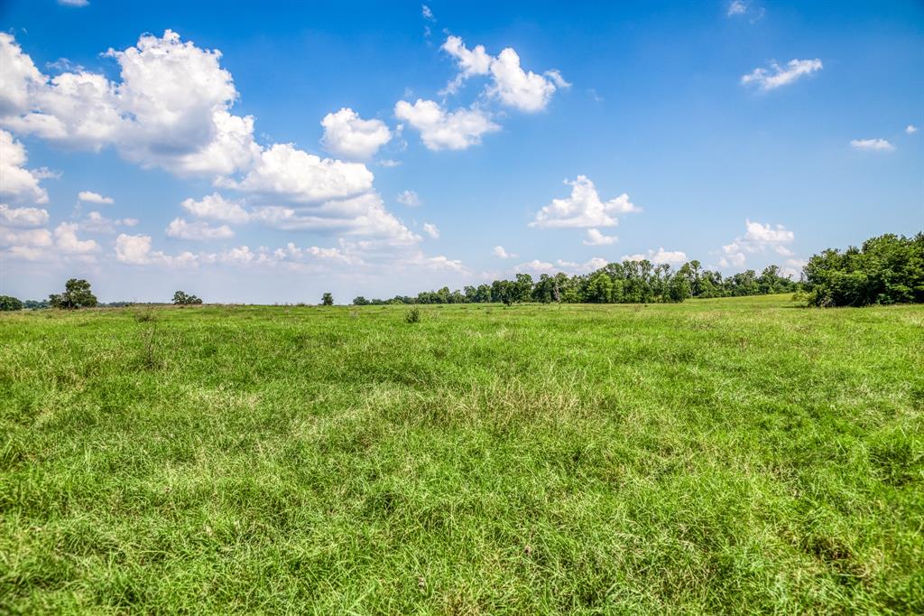 0000 Flat Prairie Road, Washington, Texas image 8