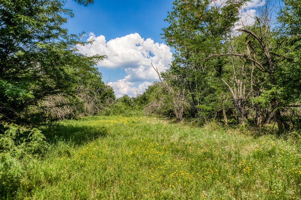 0000 Flat Prairie Road, Washington, Texas image 5