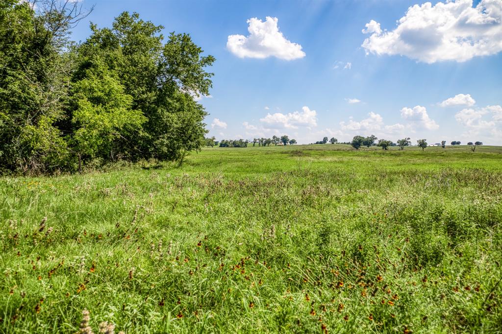 0000 Flat Prairie Road, Washington, Texas image 2