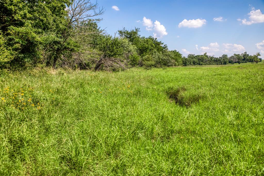 0000 Flat Prairie Road, Washington, Texas image 4