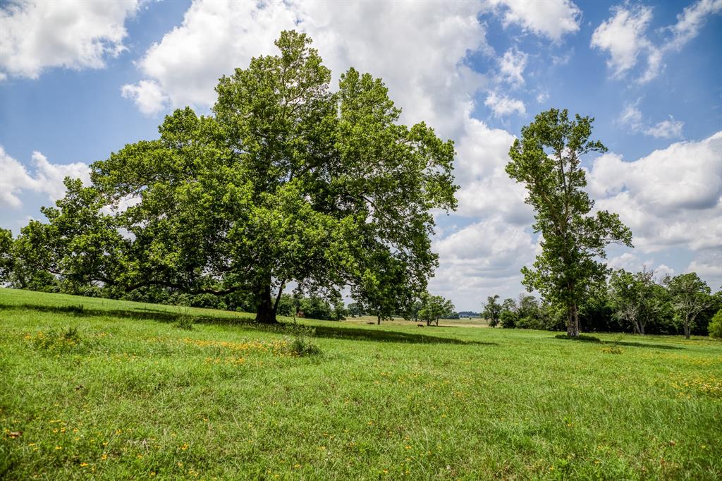 0000 Flat Prairie Road, Washington, Texas image 20